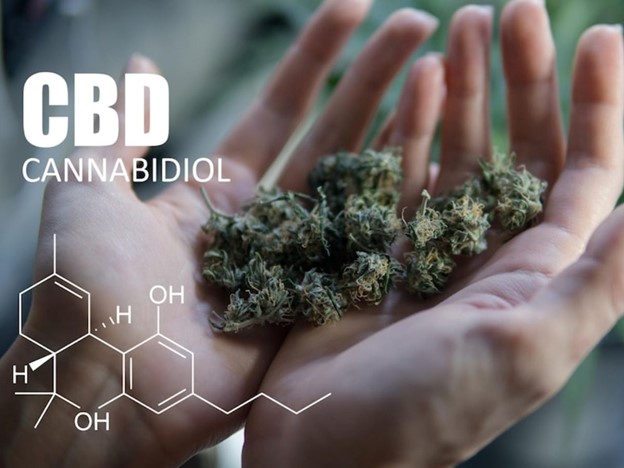 The Basics of CBD